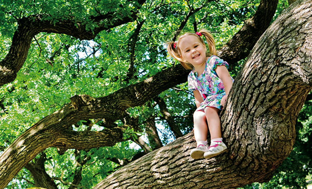 A child in a tree representing how sustainability from Osmo is good for people and nature