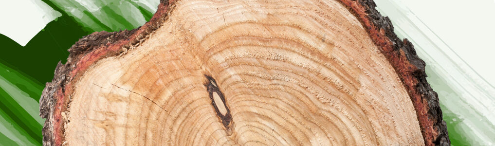 Osmo - Industrielle Holzbeschichtungen – die Anwendung für den Innen- und Außenbereich