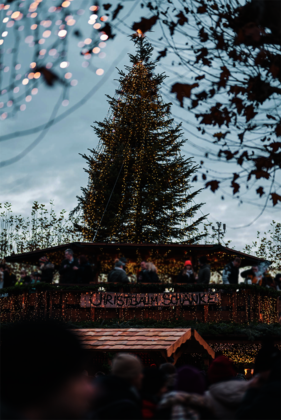 Die Christbaum-Schänke auf dem Weihnachtsmarkt am Bodensee