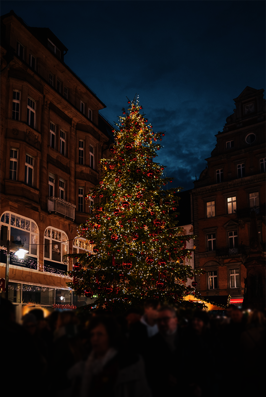 Christbaum auf dem Weihnachtsmarkt am Bodensee