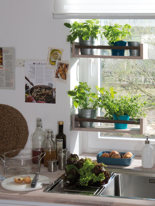 Das kleine Kräuter-Klappregal vor dem Fenster – für langlebige Küchenkräuter, Blumen und Pflanzen – Osmo DIY für Selbermacher