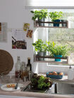 Das kleine Kräuter-Klappregal vor dem Fenster – für langlebige Küchenkräuter, Blumen und Pflanzen – Osmo DIY für Selbermacher