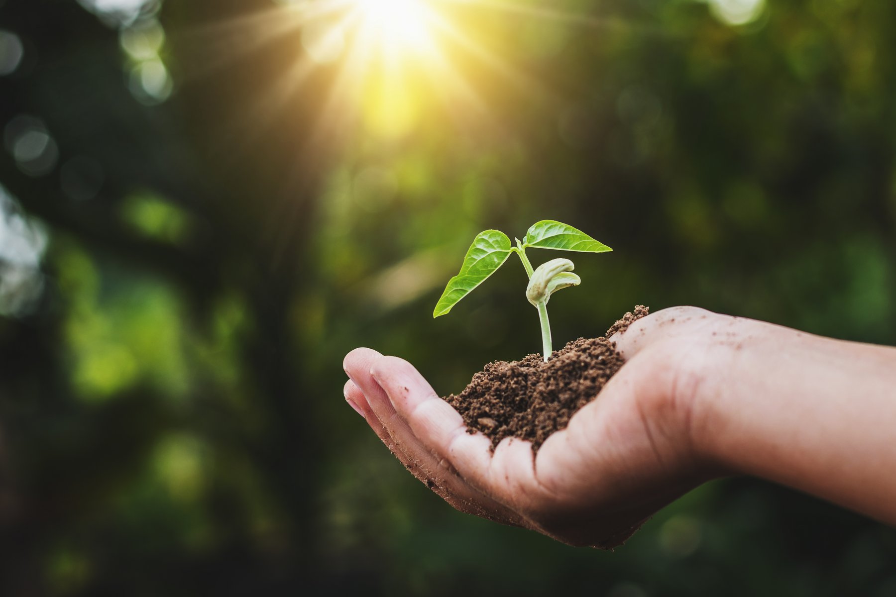 Zertifikate & Nachhaltigkeit