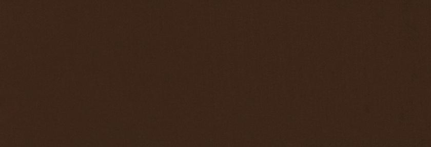 2607 Dunkelbraun seidenmatt