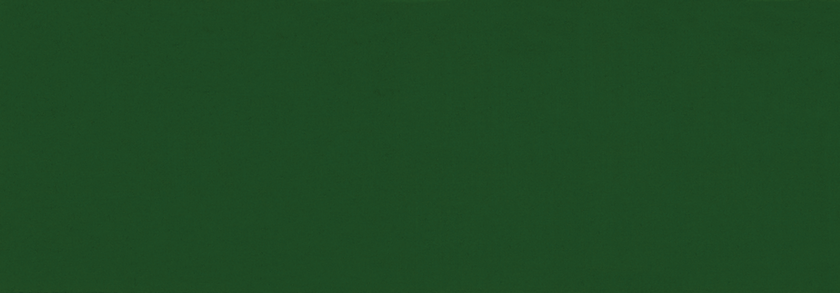 2404 Tannengrün seidenmatt