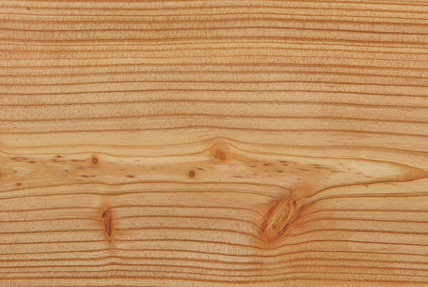Wood species for Osmo privacy screens - untreated Larch
