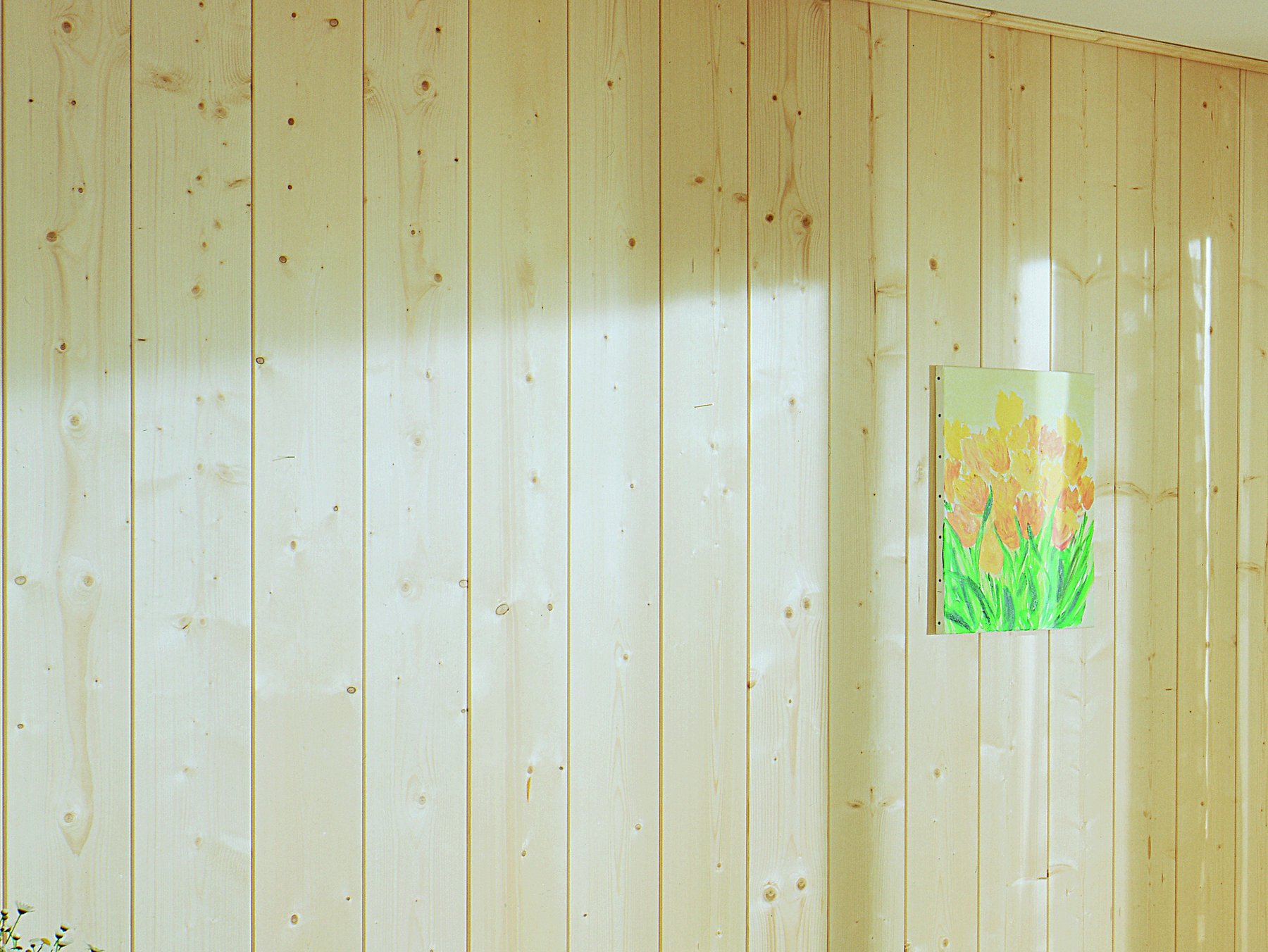 Wandverkleidung Fichte 