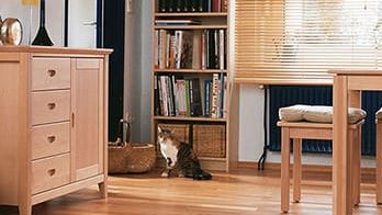 Laubholzplatten durchgehende Lamellen