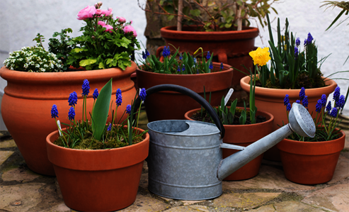 These planters are well protected against dirt and stains thanks to Osmo Stein- und Terrakotta-Öl