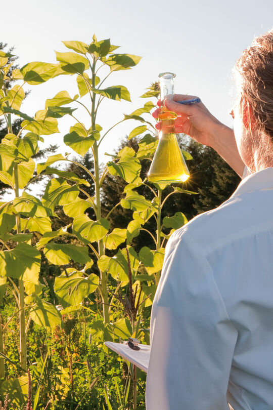 Osmo Anstriche und Farbe auf Öl- und Wasserbasis – Nachhaltigkeit und Zertifikate