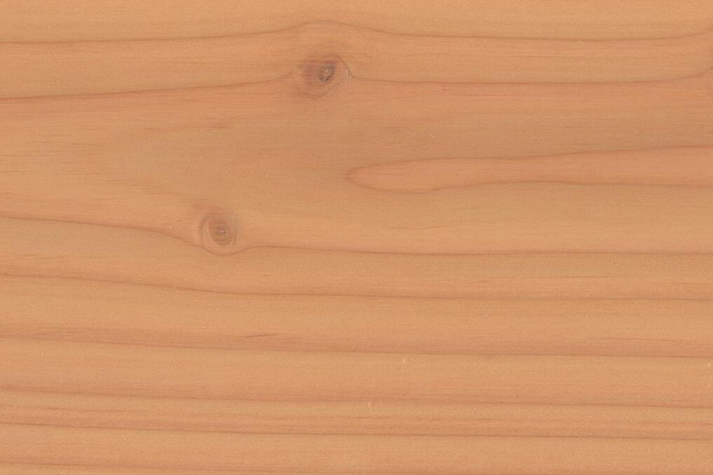 Holzschutz vor Grünbelag, Pilzbefall und Vergrauen – Osmo UV-Schutz-Öl 427 Douglasie transparent schützt Ihr Holz vor Sonneneinstrahlung. Pflegetipps von Osmo