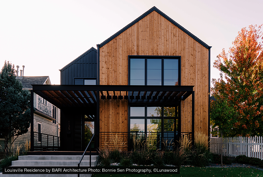 Osmo Fassadeprofil Triple aus Massivholz -Louisville Residence by BARI Architecture 