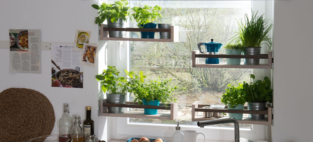 Foldable herb shelf