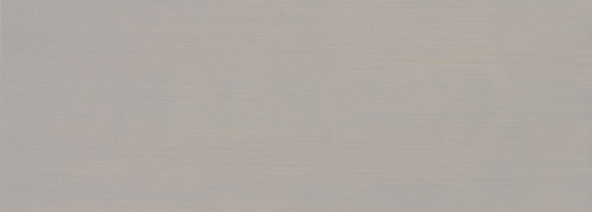 1921 Platingrau matt