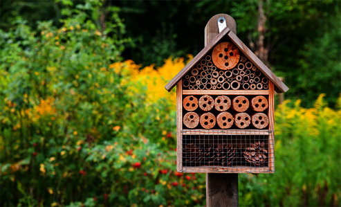Insect hotel in a flowery meadow - Osmo craft project for young and old