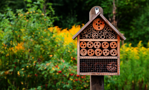 Insektenhotel in einer Blumenwiese - Osmo Bastelprojekt für Jung und Alt