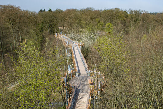 Die erhöhte Brücke aus holz des Aussichtsturms auf der Höhe der Baumspitzen bietet eine schöne Aussicht – Bad Iburg Osmo Referenz