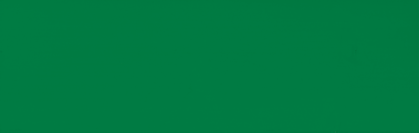 7629 Minzgrün (RAL 6029) seidenmatt