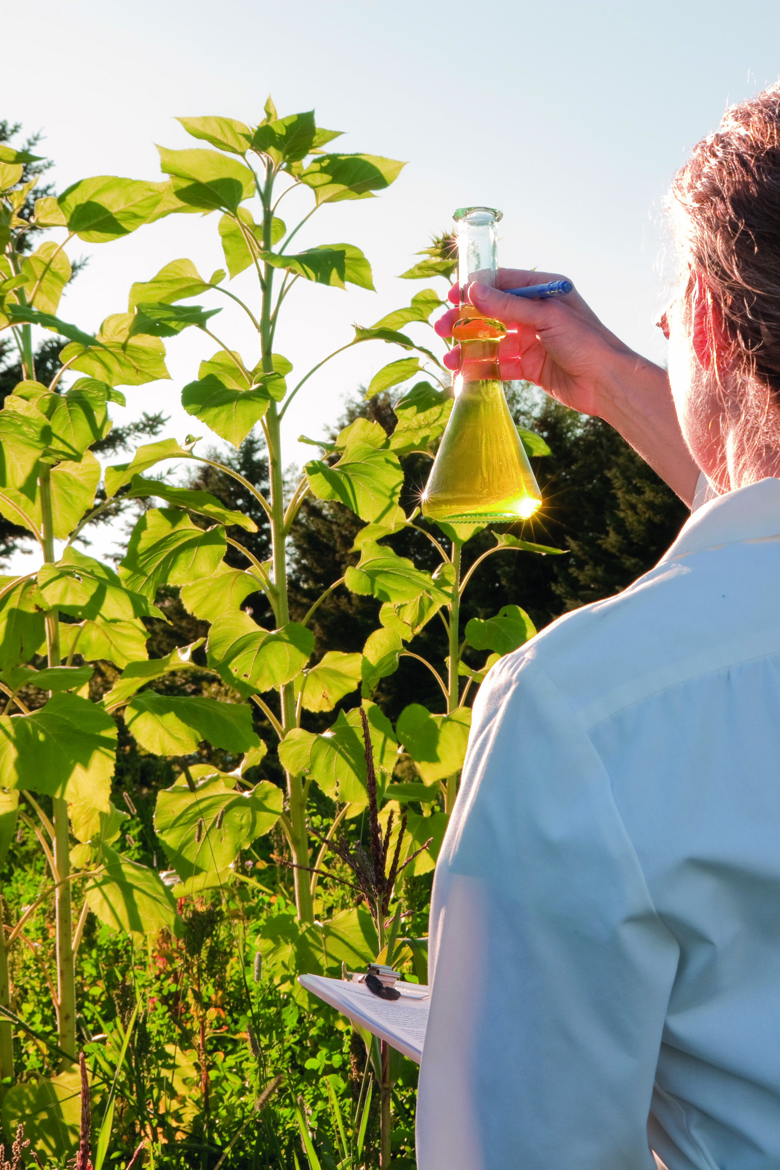 Zertifikate & Nachhaltigkeit