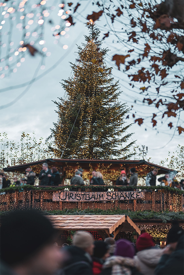 Konstanzer Weihnachtsmarkt am See