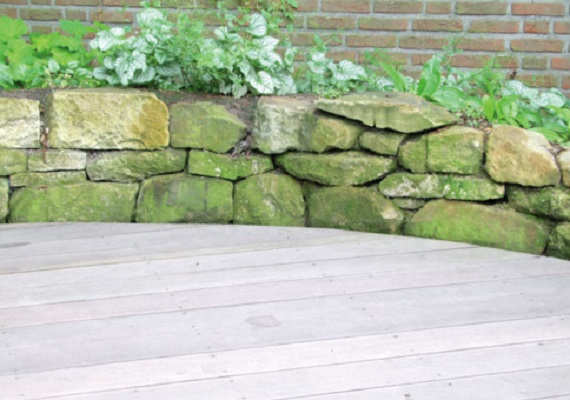 Green growth removal