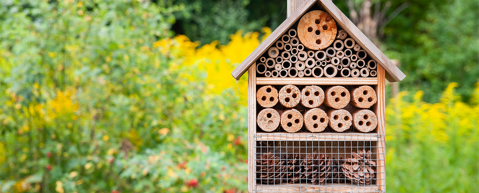 Osmo Bastelprojekt Insektenhotel um den Kindern Artenvielfalt und Naturschutz näherzubringen
