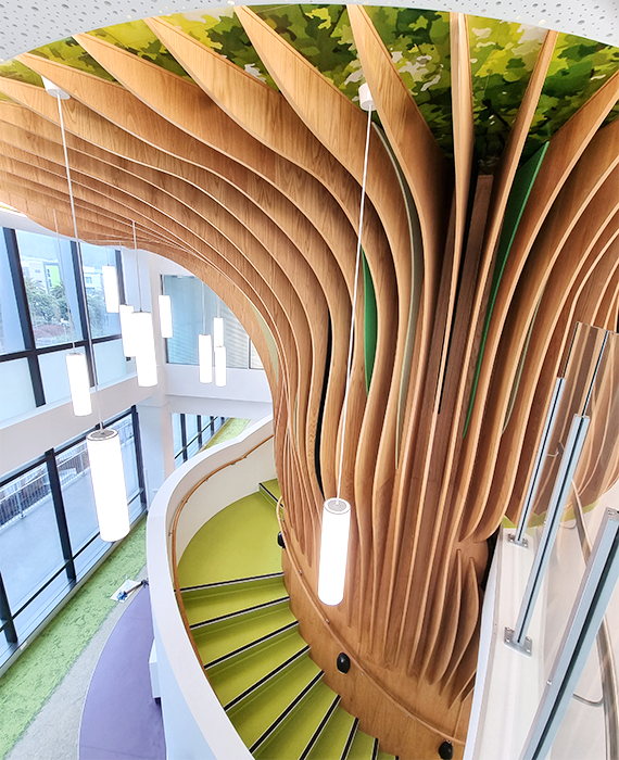 The oak tree staircase in the Wellington Children’s Hospital protected with Osmo Hartwachs-Öl 