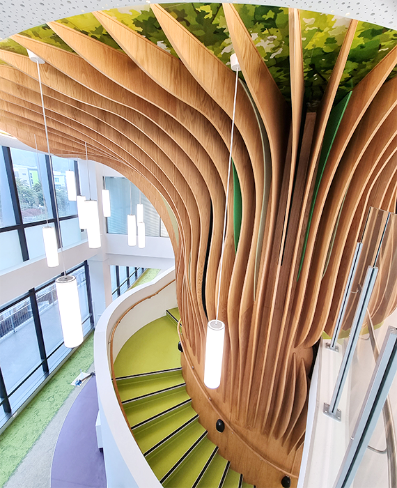 The oak tree staircase in the Wellington Children’s Hospital protected with Osmo Hartwachs-Öl