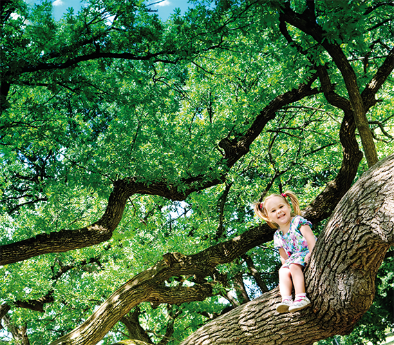 Kind sitzt auf einem Baum und lächelt fröhlich