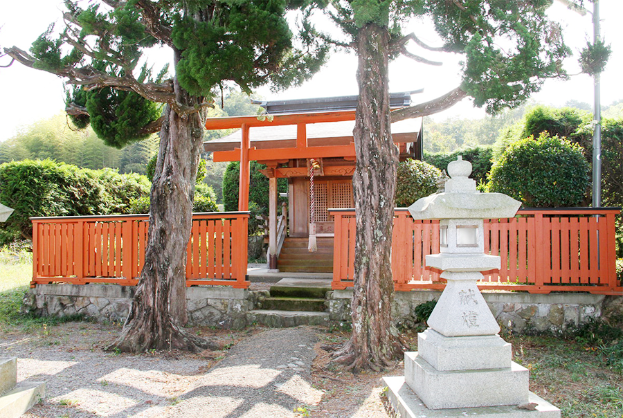 Der Eingangsbereich der Tempelanlage wird durch Bäume und steinerne Laternen markiert
