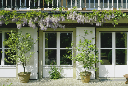 Holz-Deckfarbe Slide